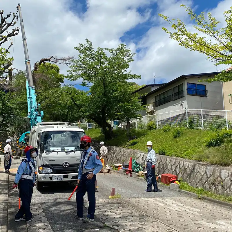 兵庫県宝塚市　伐採工事の現場　歩行者および車両の誘導等
